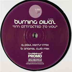 Burning Divaz - I'm Attracted To You download flac