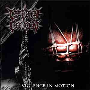 Cerebral Effusion - Violence In Motion download flac