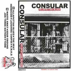 Consular - Allapattah Blues download flac