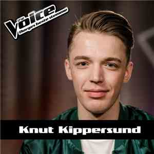 Knut Kippersund - Million Reasons download flac