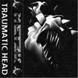 Metek - Traumatic Head download flac