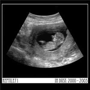 Reptile71 - In Dust: 2000 - 2003 download flac