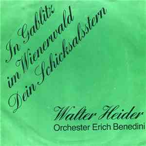 Walter Heider, Orchester Erich Benedini - In Gablitz Im Wienerwald / Dein Schicksalsstern download flac