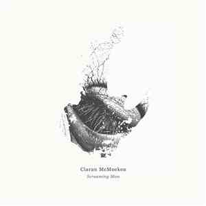 Ciaran McMeeken - Screaming Man download flac