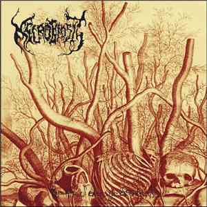 Necrobiosis - The Pile Of Decayed Entrails download flac
