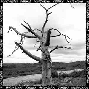 Poppy Ajudha - Patience download flac