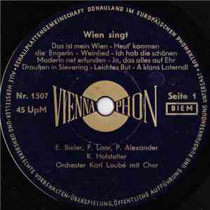 Various - Wien Singt Ein Großes Wiener Lieder Potpourri download flac