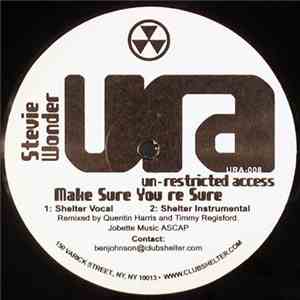 Stevie Wonder - Make Sure You're Sure download flac
