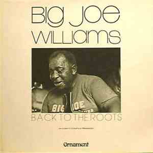 Big Joe Williams - Back To The Roots download flac
