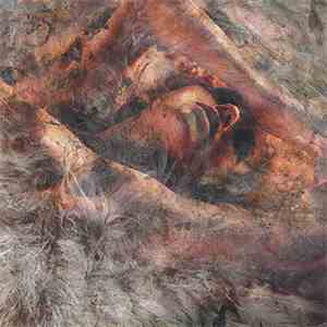 Converge - Unloved And Weeded Out download flac