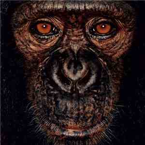 Martin Küchen - The Lie & The Orphanage download flac