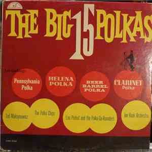 Ted Maksymowicz, Stan Wolowic And The Polka Chips, Lou Prohut And The Polka-Go-Rounders, Joe Rock Orchestra - The Big 15 Polkas download flac