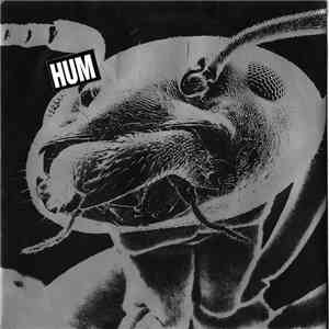 Hum  - Sundress download flac
