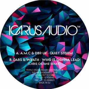 Various - Quiet Storm / Who Is Gonna Lead download flac