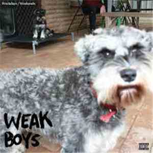 Weak Boys - Weekdays/Weekends download flac