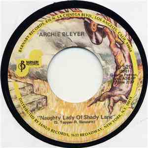 Archie Bleyer - Naughty Lady Of Shady Lane / Hernando's Hideaway download flac