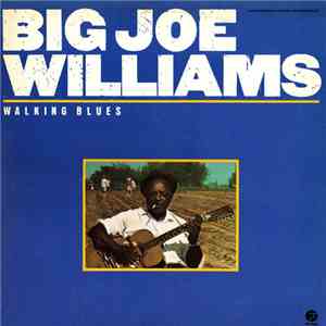 Big Joe Williams - Walking Blues FLAC album