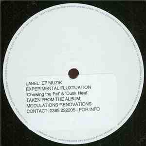 Experimental Fluxtuation - Chewing The Fat download flac