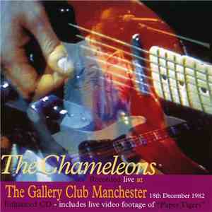 The Chameleons - Live At The Gallery Club, Manchester, 1982 download flac