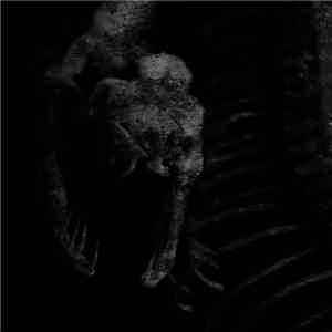 The Council Of Days - Dark Night Of The Soul download flac