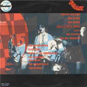 Various - The Belgian Garagemania Vol. 3 download flac