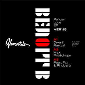 Benoit B  - Pelican Love EP download flac