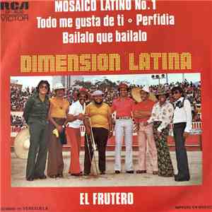 Dimension Latina - Mosaico No.1 (Todo Me Gusta De Ti, Perfidia, Bailalo Que Báilalo) / El Frutero download flac