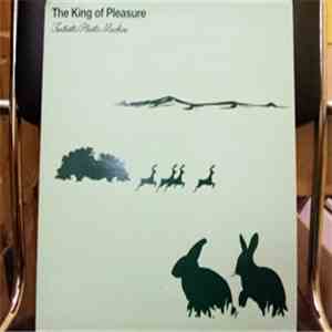 Fantastic Plastic Machine - The King Of Pleasure download flac