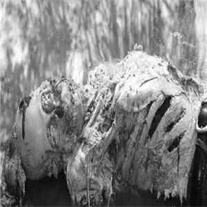 See Through Buildings - I Walked Among The Elders download flac