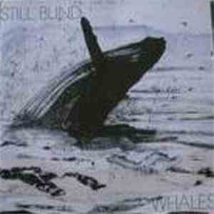 Still Blind - Whales download flac