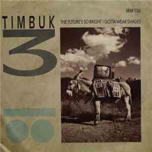 Timbuk 3 - The Future's So Bright I Gotta Wear Shades download flac