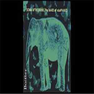 Boister - Some Moths Drink The Tears Of Elephants download flac