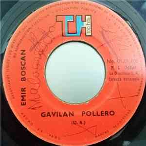 Emir Boscán - Gavilan Pollero / Yolanda download flac