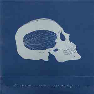 Enablers - Blown Realms And Stalled Explosions download flac