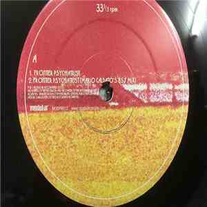 The Avalanches - Frontier Psychiatrist download flac