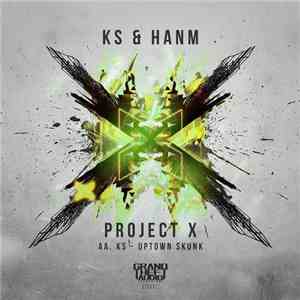 KS  - Project X // Uptown Skunk download flac