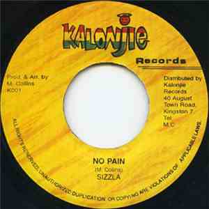 Sizzla - No Pain download flac