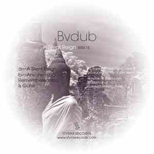 Bvdub - A Silent Reign download flac