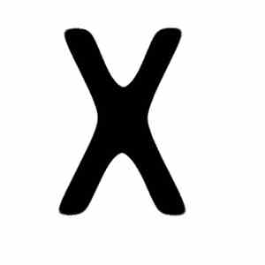 Maribor - X download flac