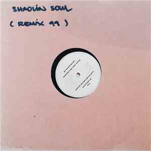 MK2 - Shaolin Soul (Remix) download flac