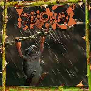 Phyllomedusa - Weather's A Thorn In My Side download flac