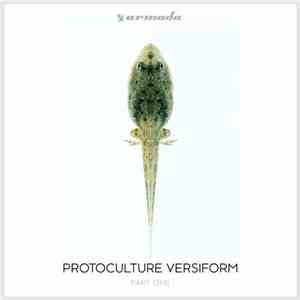 Protoculture - Versiform Part One download flac