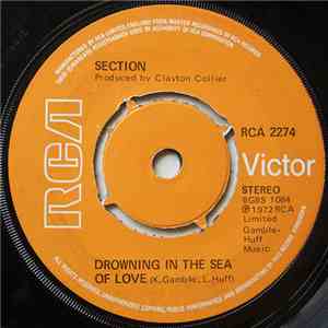 Section  - Drowning In The Sea Of Love download flac