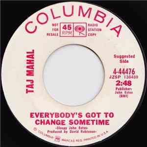 Taj Mahal - Everybody's Got To Change Sometime download flac