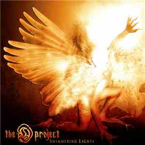 D - Shimmering Lights download flac