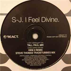 S-J - I Feel Divine download flac