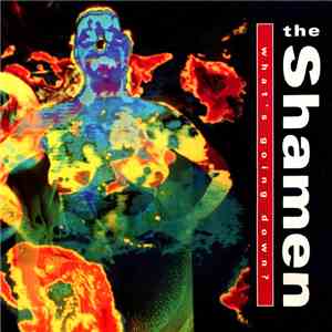 The Shamen - What's Going Down? download flac