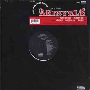 Akinyele - Put It In Your Mouth download flac