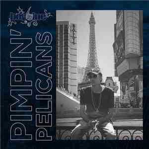 Boy6lue - Pimpin' Pelicans download flac