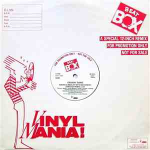Cruisin' Gang - America ( A Swedish Beat Box Special 12-Inch Remix) download flac